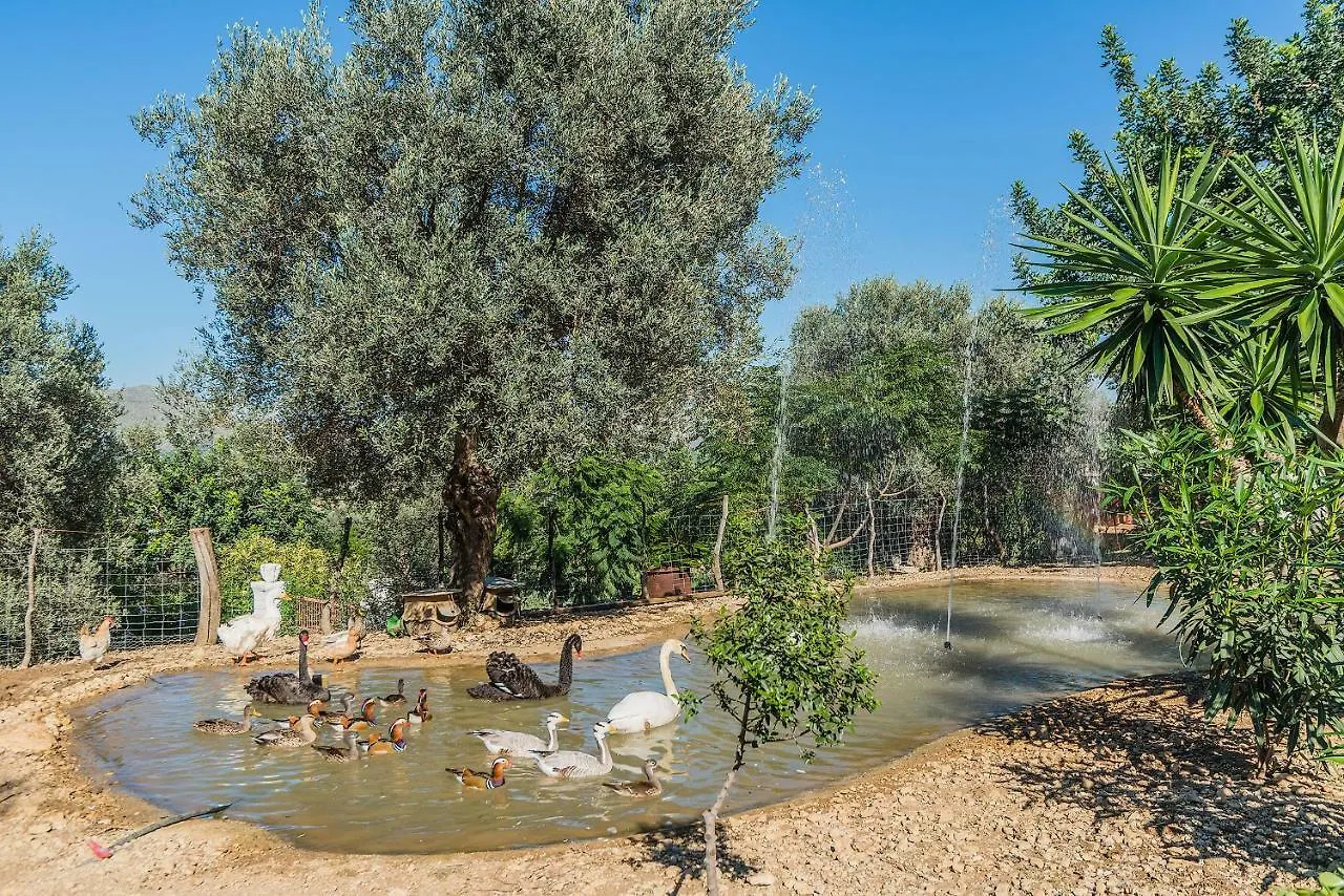 Villa Rota De Morell Pollenca Holiday home